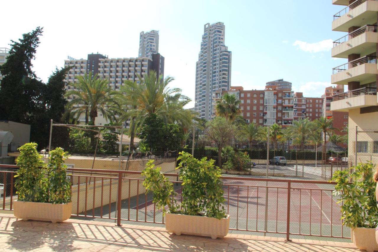 Acuarium Leilighet Benidorm Eksteriør bilde