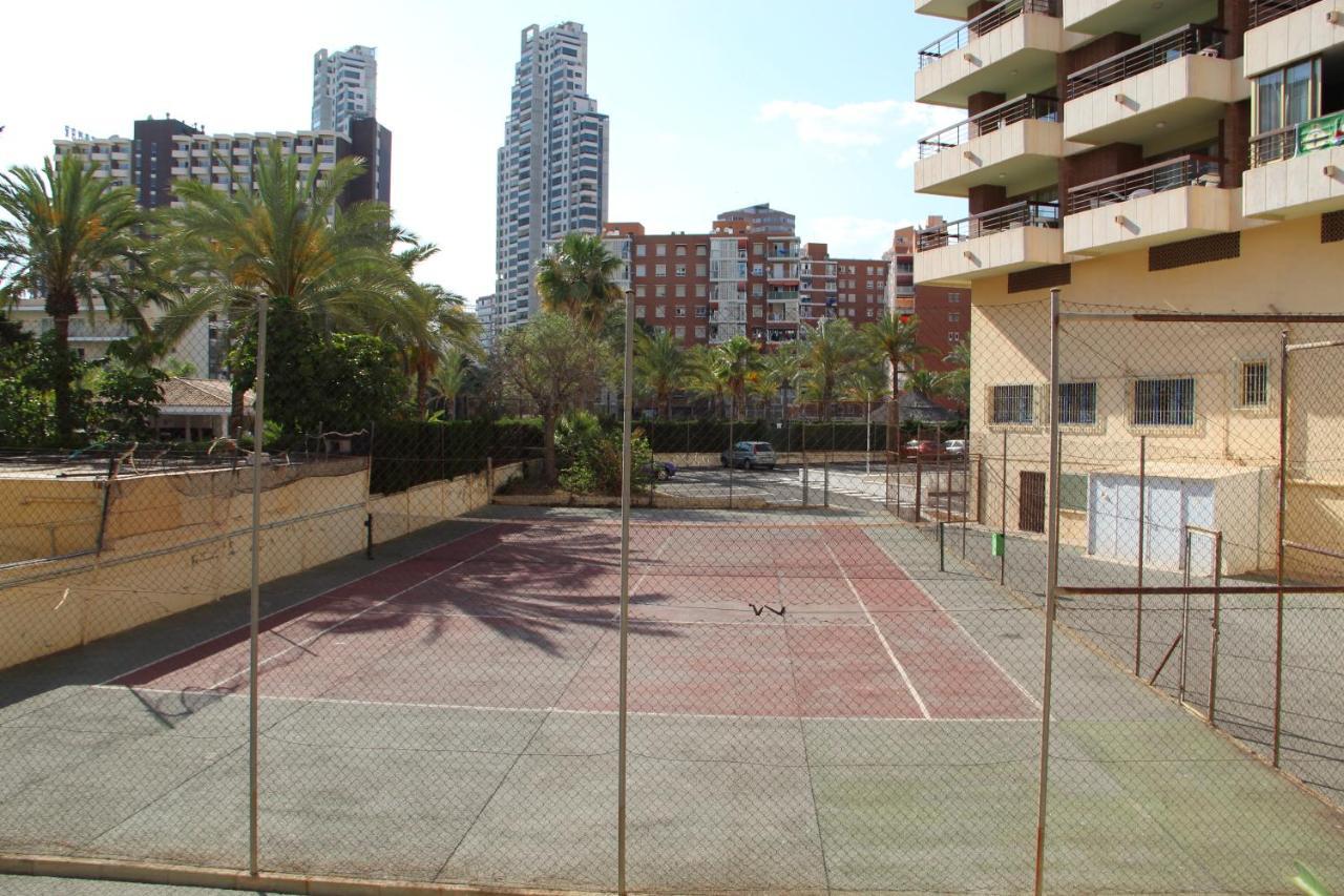 Acuarium Leilighet Benidorm Eksteriør bilde